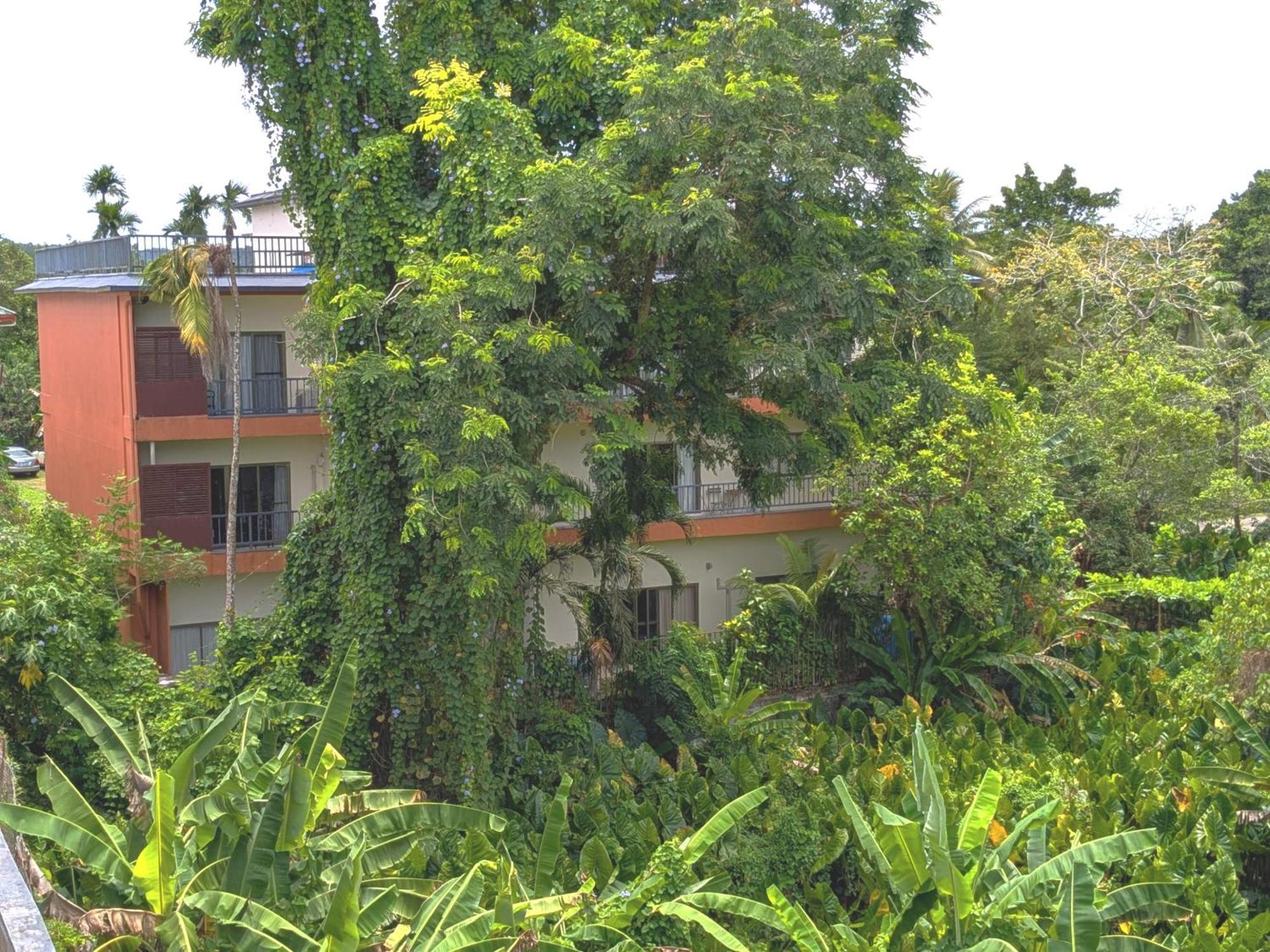 Garden Palace Downtown Koror Esterno foto